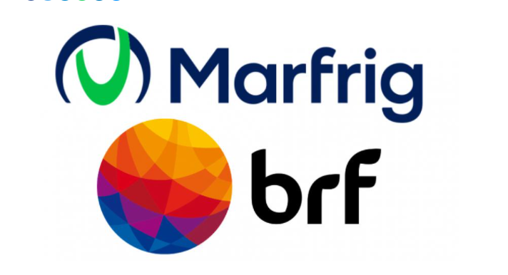 InfoMoney | história e perspectivas com ingresso da Marfrig (MRFG3)