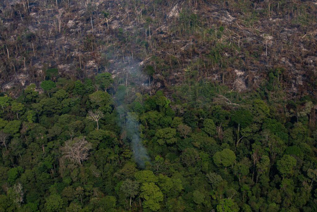 InfoMoney | STF adia decisão sobre a política ambiental para Amazônia
