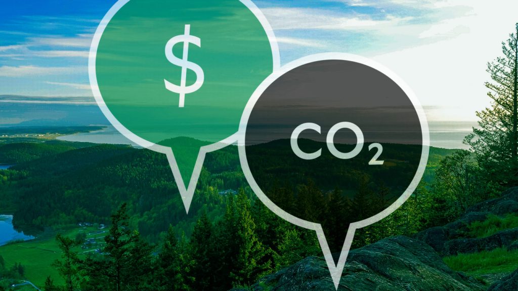 InfoMoney | BC define como instituições devem registrar créditos de carbono