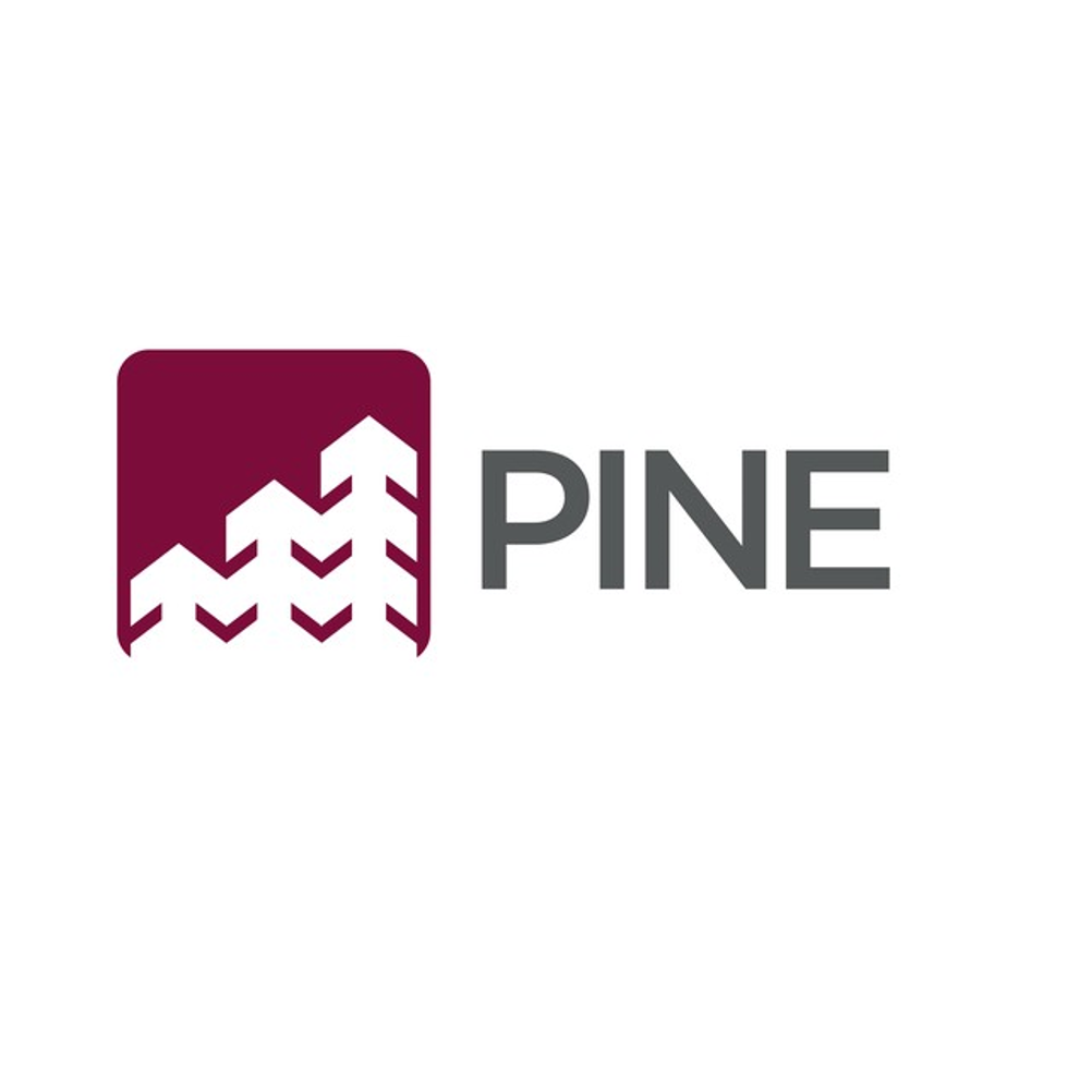 InfoMoney | Banco Pine (PINE4) tem lucro 4,55 vezes maior no terceiro trimestre, para R$ 12,2 milhões