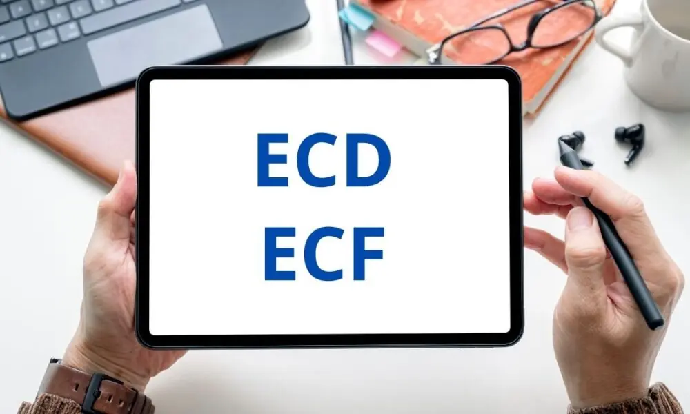 Jornal Contábil | Alerta! Transmissão da ECD e ECF será suspensa em data de dezembro – Jornal Contábil