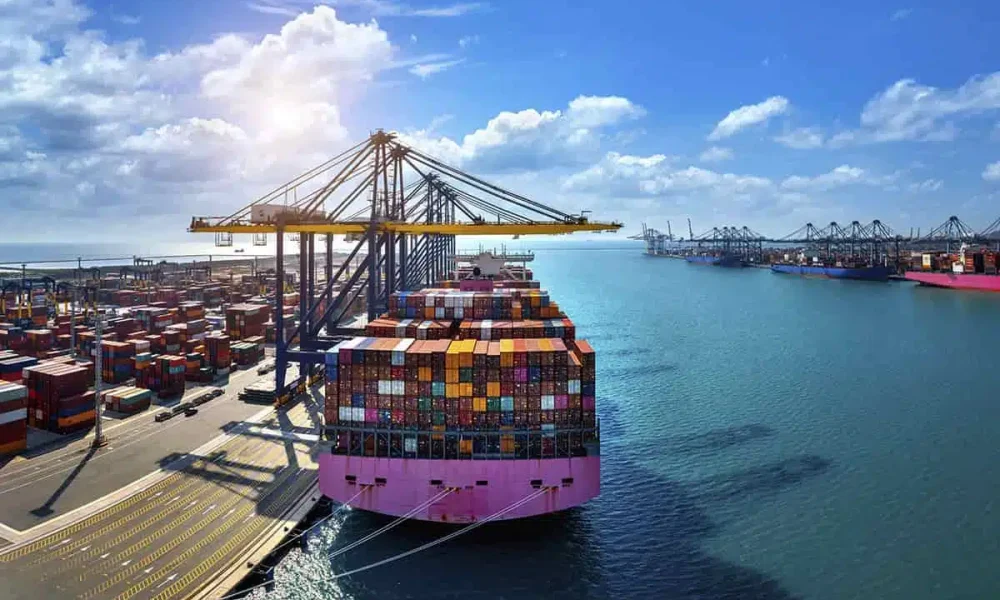 Jornal Contábil | O que ninguém te contou sobre o Novo Processo de Importação (NPI) – Jornal Contábil