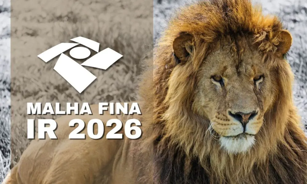 Jornal Contábil | 7 erros que podem levar o contribuinte à malha fina em 2026. Saiba evitar – Jornal Contábil