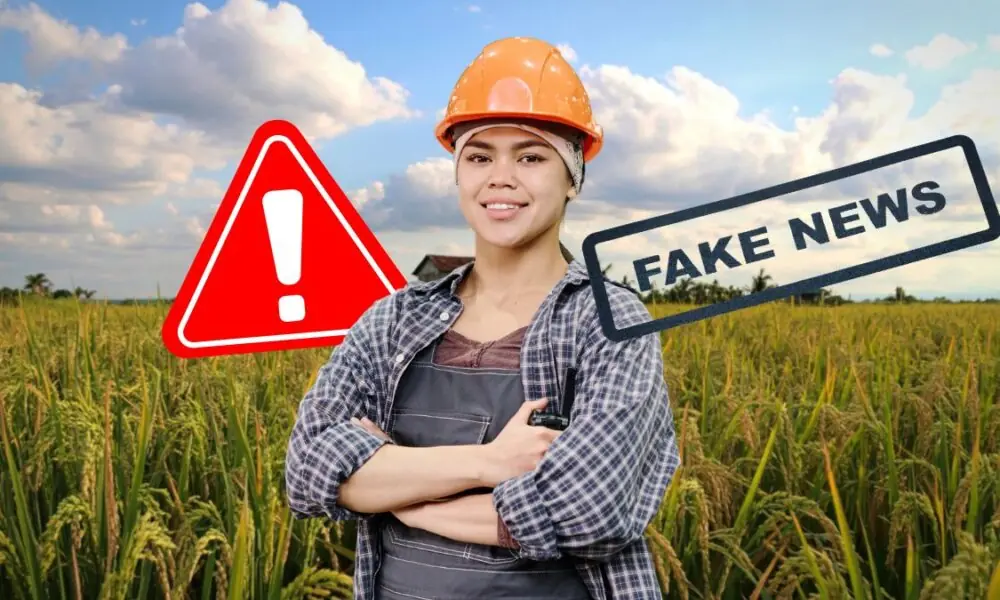 Jornal Contábil | Fake news: MTE nega uso de capacete para todo o trabalhador rural – Jornal Contábil