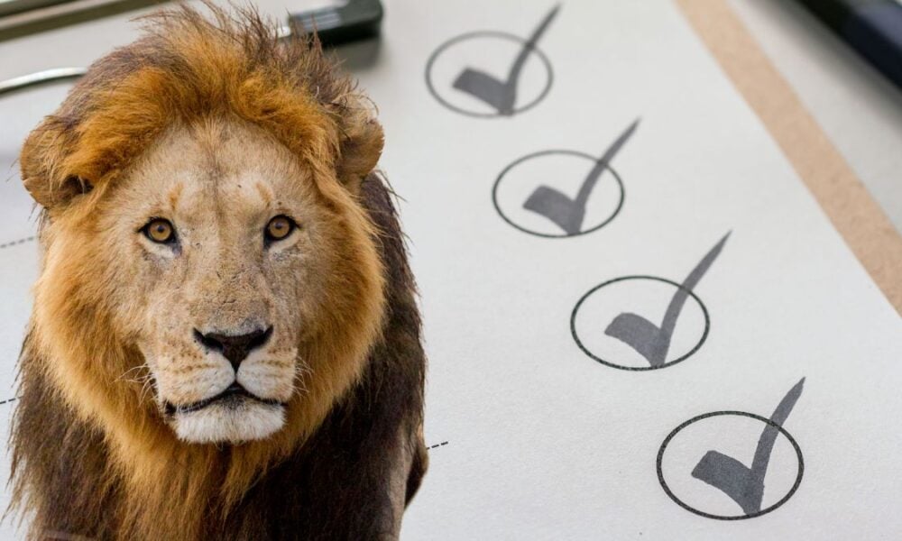 Jornal Contábil | Imposto de Renda 2026: Checklist dos documentos para prestar contas ao Fisco – Jornal Contábil